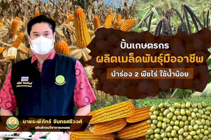 กษ.ปั้นเกษตรกรมืออาชีพ-ผลิตเมล็ดพันธุ์พืชไร่ใช้น้ำน้อยปลูกช่วงหน้าแล้ง-:-อินโฟเควสท์