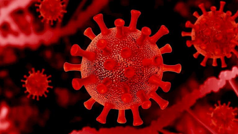 “โควิด”-ดับนิวไฮเฉียดร้อย-คร่าชีวิตทวด-105-ปี-ยกเลิก-pcr-วันแรก-เข้าประเทศติดเชื้อ-28-คน