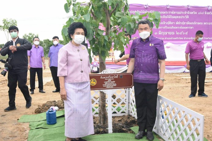 มทปลูกพันธุ์ไม้มงคลพระราชทาน-เนื่องในวันเฉลิมพระชนมพรรษา-'พระราชินี'-3-มิย.