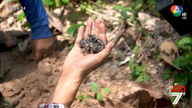 ฝนฟ้าอากาศ-14-มิย.65