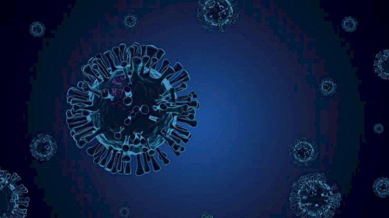 35-จังหวัดไร้ป่วยใหม่-“โควิด”-ยอดป่วยหนัก-ใส่ท่อ-กลับมาเพิ่ม-แต่ไม่มาก-กทม.ยังสูงสุด