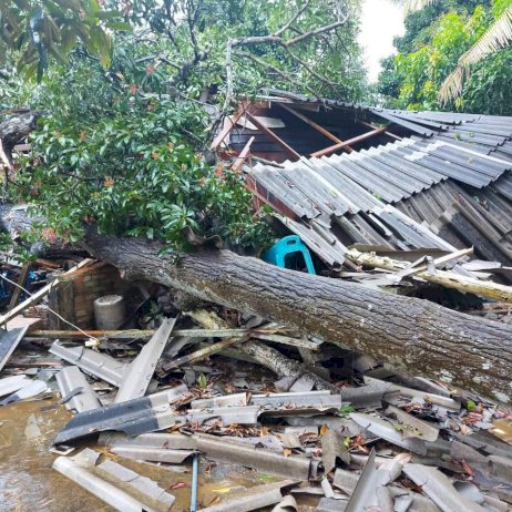 ​ปภ.เผยพื้นที่ได้รับผลกระทบจากวาตภัย-14-จังหวัด-ประสานเร่งให้การช่วยเหลือผู้ประสบภัย