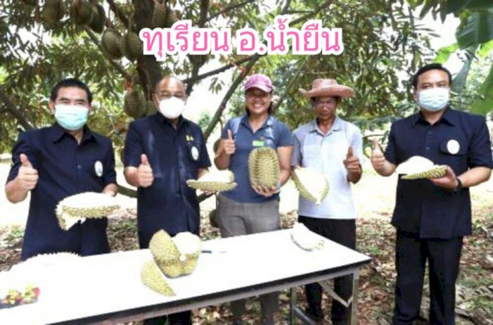 สังคมออนไลน์ภาคอีสานตอนล่าง…-“เบิ่งอีสาน”-สืบสาน-งานต้นเทียนพรรษา-|-เดลินิวส์