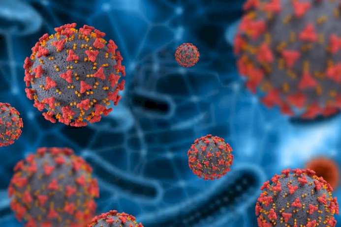 ป่วยหนักโควิดใกล้พันราย-“ปากน้ำ”-ยอดเฉียด-300-ราย-แนวโน้มเพิ่มขึ้นทั่วประเทศ