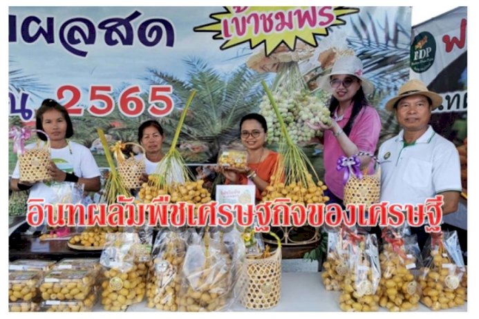 อินทผลัมพืชเศรษฐกิจของเศรษฐี
