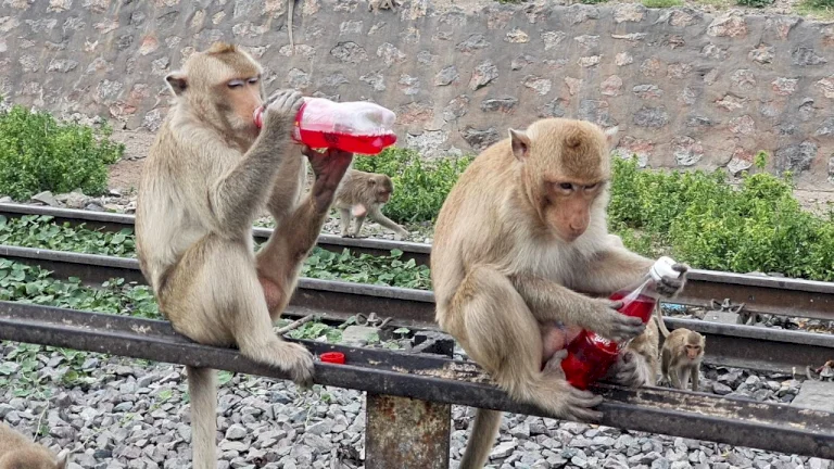สภาพอากาศวันนี้-อีสาน-กลาง-มีฝนฟ้าคะนองบางพื้นที่-ภาคเหนือกลับไปร้อน