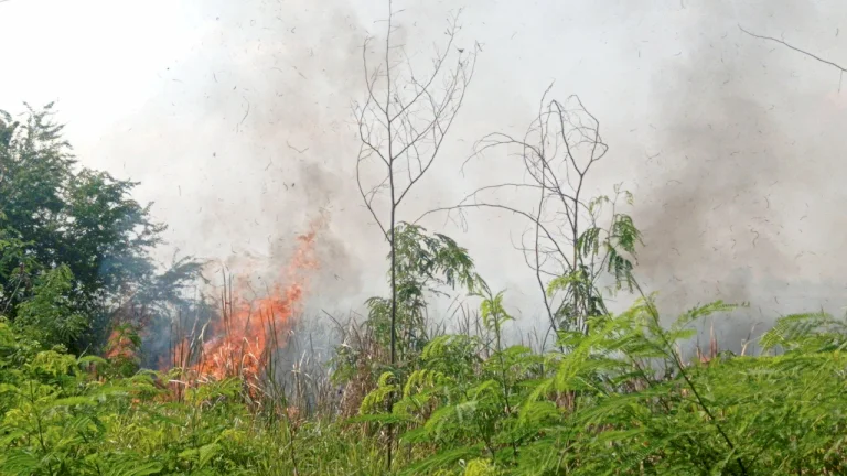 สภาพอากาศวันนี้-ความร้อนปกคลุมประเทศ-ภาคเหนือ-กลาง-ทะลุ-41-องศาฯ