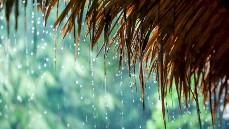 ประกาศฉบับ-8-เช็กพื้นที่เตรียมรับมือฝนตกหนัก-ช่วง-16-18-กค.-67