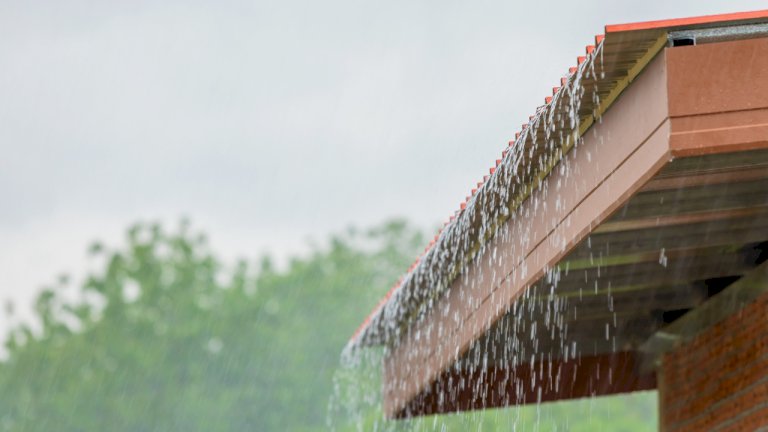 อุตุฯ-ฉบับ-12-เตือน-52-จังหวัดเตรียมรับมือ-“ฝนตกหนัก”-เช็กเลยที่ไหนบ้าง