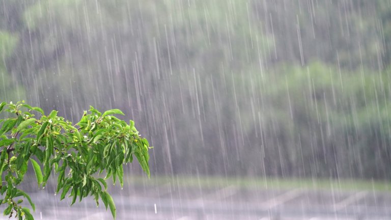 ประกาศฉบับ-2-เตือน-3-7-กย.-หลายจังหวัดฝนตกหนักถึงหนักมาก-ระวังน้ำท่วมฉับพลัน