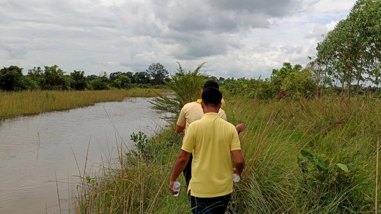 ผู้ว่าฯ-ตั้งกรรมการพิสูจน์สิทธิป่าบุ่งป่าทาม-500-ไร่